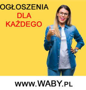 Gewerbe oplaty 2019